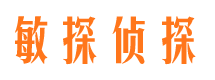 铁锋侦探公司